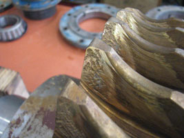 EP additives can cause damage to a worm wheel, which is usually bronze.