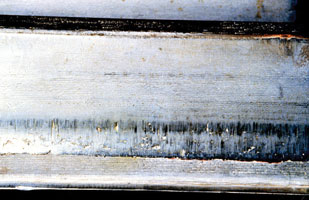 In this example, abrasion and scuffing have been caused by tip-to-root interference. In this example, abrasion and scuffing have been caused by tip-to-root interference.