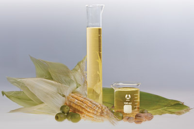 Biodegradable lubricants