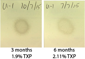 Blotter spot testing to determine organic and solid insolubles Blotter spot testing to determine organic and solid insolubles