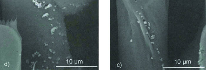 Submicron particles adhere to the surfaces and crevices on special cellulose fibers. Submicron particles adhere to the surfaces and crevices on special cellulose fibers.