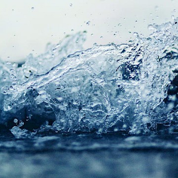 Aqueous toxicity