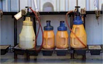 Contamination ingression 4