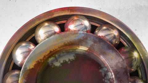 Bearing with varnish