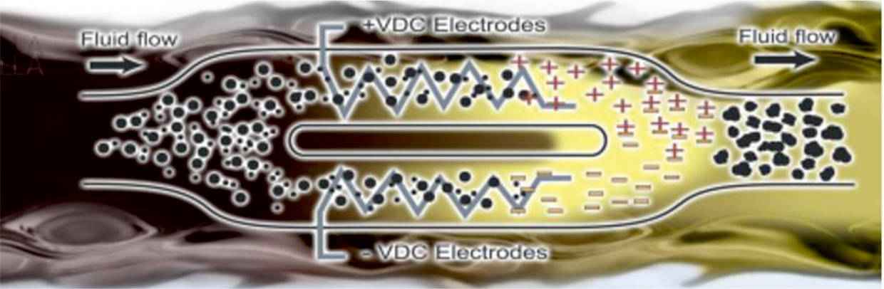 Figure 4. BCA technology