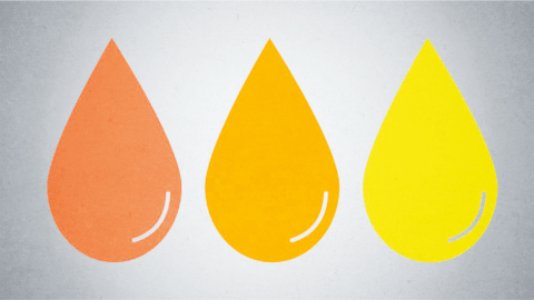 Three Simple Things That Are Often Overlooked When Performing Oil Analysis
