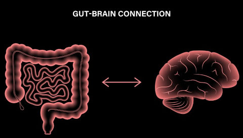 Gut brain connection 1