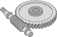 Worm Gear