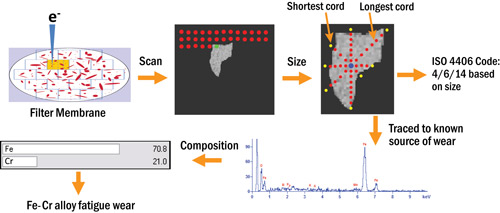 Figure 3. Graphical representation of data flow for SEM/EDX analysis