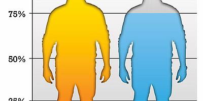 Survey Results Confirm Value of Certification