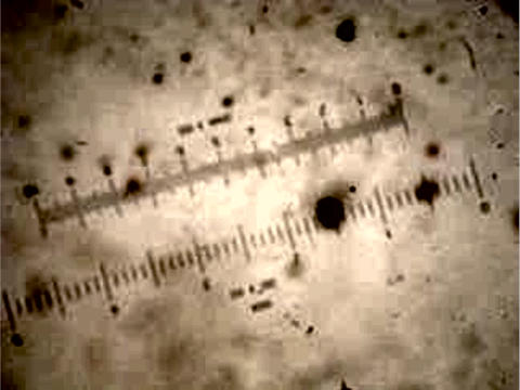 Figure 1C - Clean fuel patch with few particles