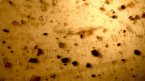 Figure 1D - Dirty fuel patch