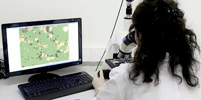 The Importance of Oil Analysis and Particle Counting